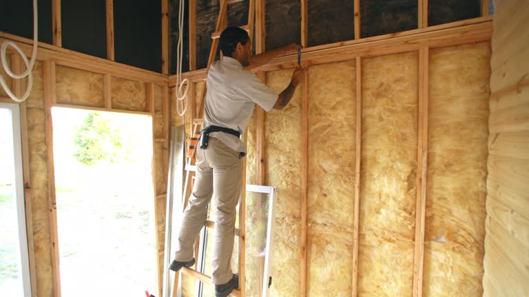 Best Blown-In Insulation  in Del Norte, CO