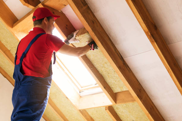 Best Attic Insulation Installation  in Del Norte, CO